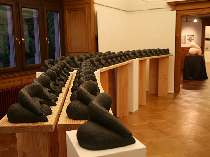 Ausstellung Kunstpalais Badenweiler 2014