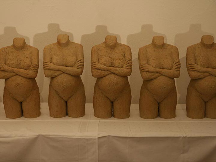 Installation Schwanger